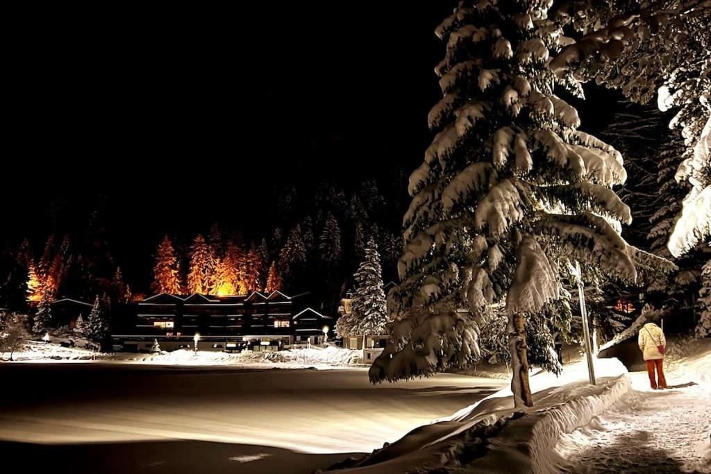 Superbe Appartement Champex-Lac Avec Piscine Et Sauna Buitenkant foto